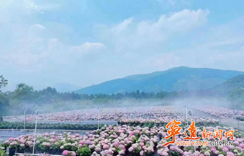 宁远：党建引领集体经济  绘就乡村振兴“新画卷”_副本500.jpg