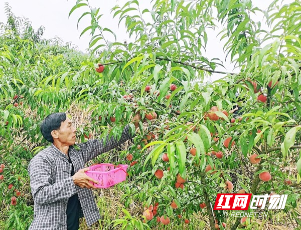 图片4.jpg