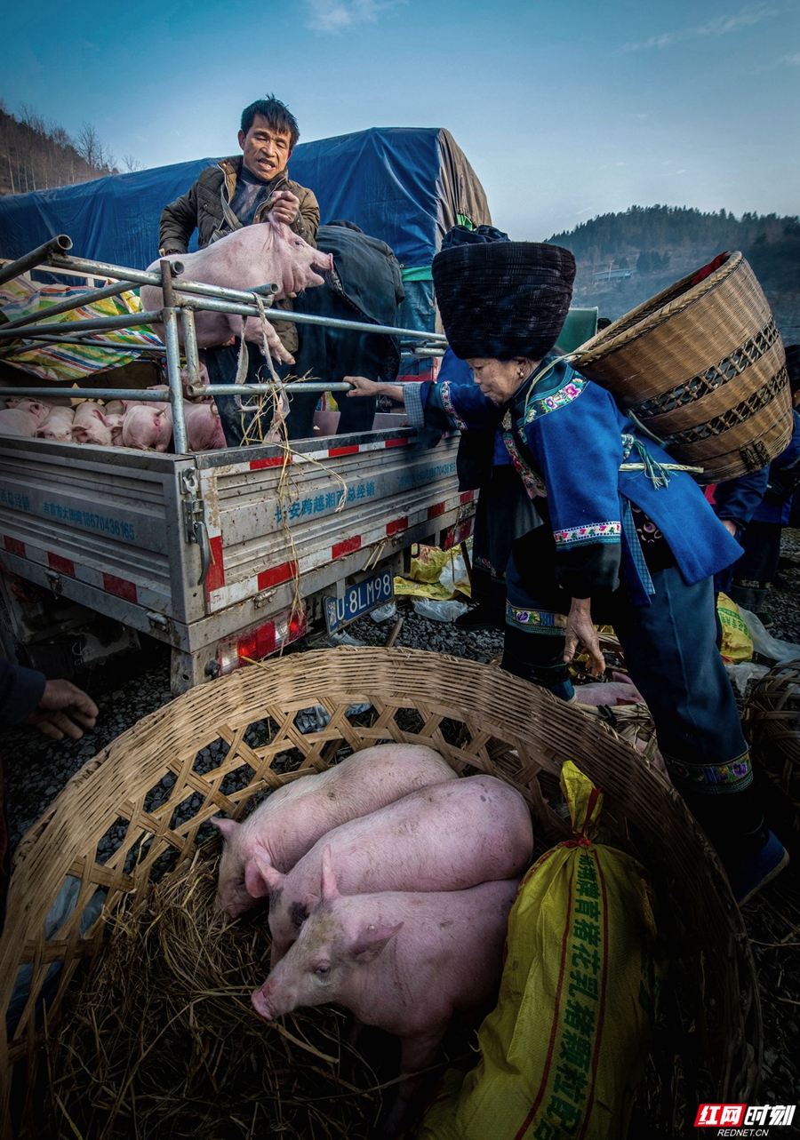 31.陈艳清+致富路上+湘西.jpg 31.陈艳清+致富路上+湘西.jpg