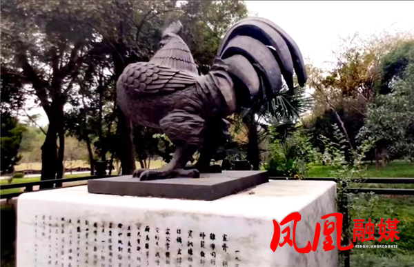 图片8.png