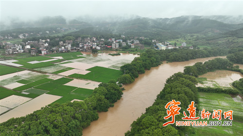 宁远：低洼地带早稻被淹 干部群众生产自救2_副本500.jpg