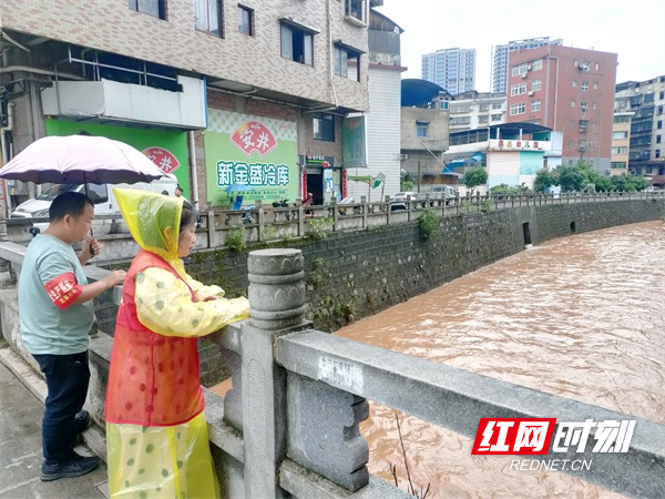 图二燕泉街道新时代文明实践所、龙泉社区新时代文明站组织志愿者到辖区燕泉河龙泉段河道开展巡查。.jpg