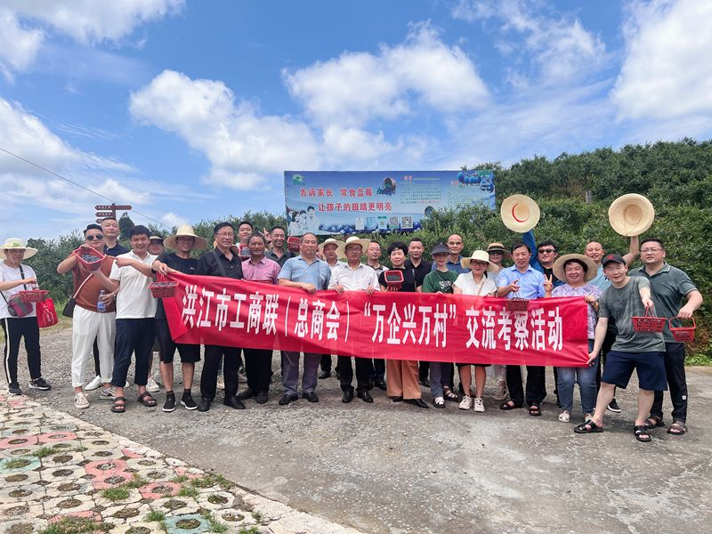 “架桥联心”，洪江市全力助推民营经济健康发展