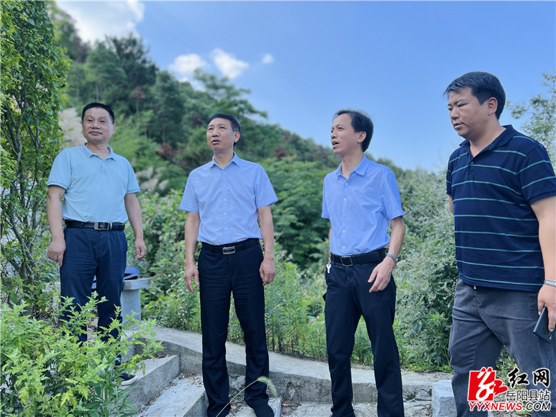 周里察看违规墓地整治情况_副本.jpg