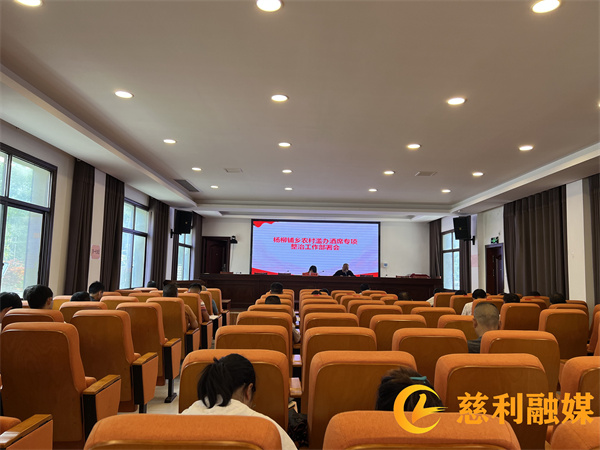 杨柳铺乡滥办酒席专项整治工作部署会_副本.jpg