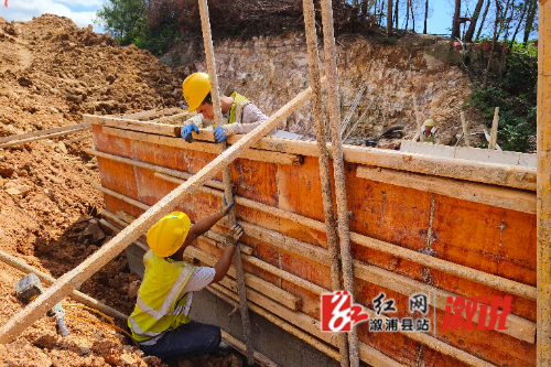 红网稿件图片2.jpg