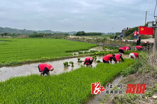 微信图片_202306281302051.jpg