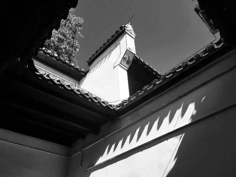 王庆国摄 (11).jpg