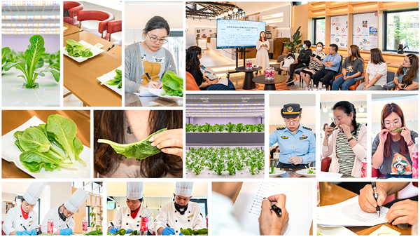 ▲ 6月6日，15位大众评审对决赛团队种植的“翠恬”生菜进行试吃、打分，上海市长宁区市场监管工作人员进行了现场快检。陈达通▏摄.jpg