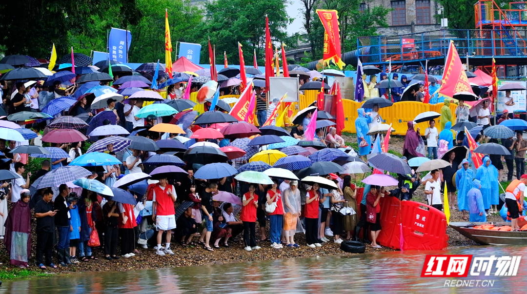市民冒着雨在现场观看龙舟竞渡活动。.png