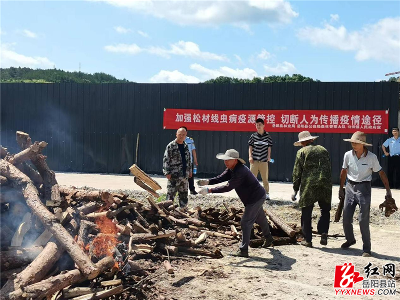 图片2 (22)_副本.png