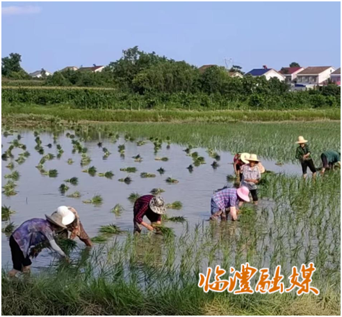 微信图片_20230629160802.png