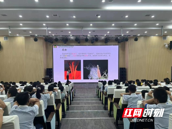 图 (2).jpg