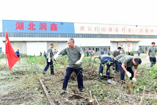爱卫运动擦亮党团日.jpg