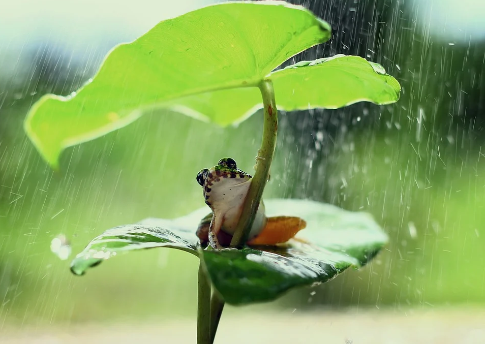 QQ截图20200803142303.png QQ截图20200803142303.png