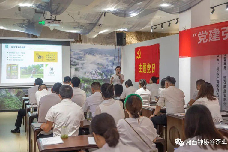 吉首华泰公司：党建引领促发展 凝心聚力谱新篇6.jpg