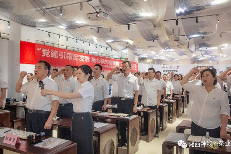 吉首华泰公司：党建引领促发展 凝心聚力谱新篇2.jpg