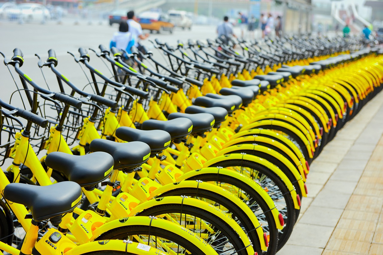 shared-bike-6305995_1280.jpg