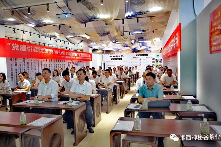 吉首华泰公司：党建引领促发展 凝心聚力谱新篇7.jpg
