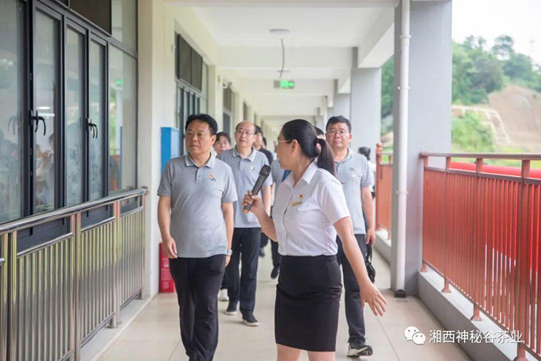 吉首华泰公司：党建引领促发展 凝心聚力谱新篇5.jpg