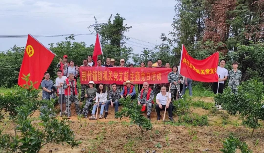 荆竹铺镇：开展“一月一课一片一实践”活动 让荒地变“富地”(图1)