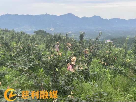 微信图片_20230706161801_副本.png