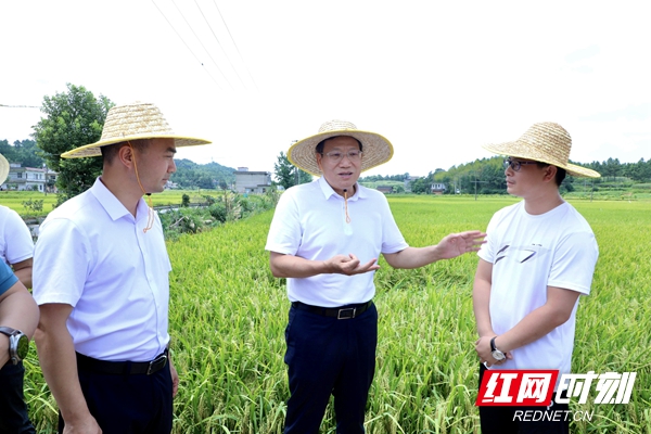 华学健到邵阳县调研安全底线性相关工作 全力以赴防风险保安全守底线(图2)