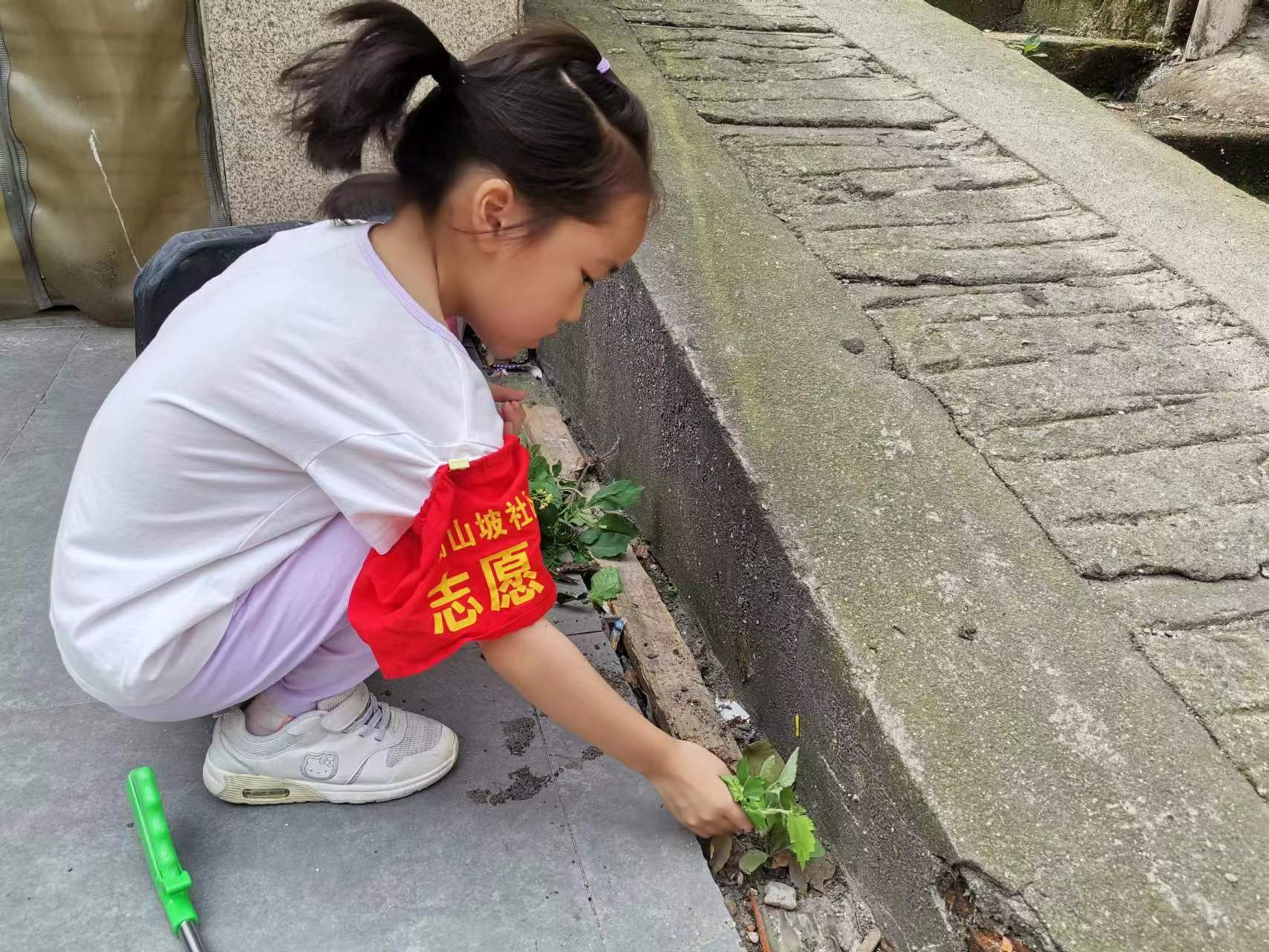 图片5.png 图片5.png