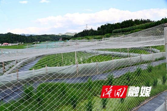 DSC_8959 - 副本.JPG