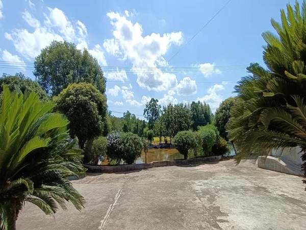 8e488107a5550526b6228dd70b121e2.jpg 8e488107a5550526b6228dd70b121e2.jpg