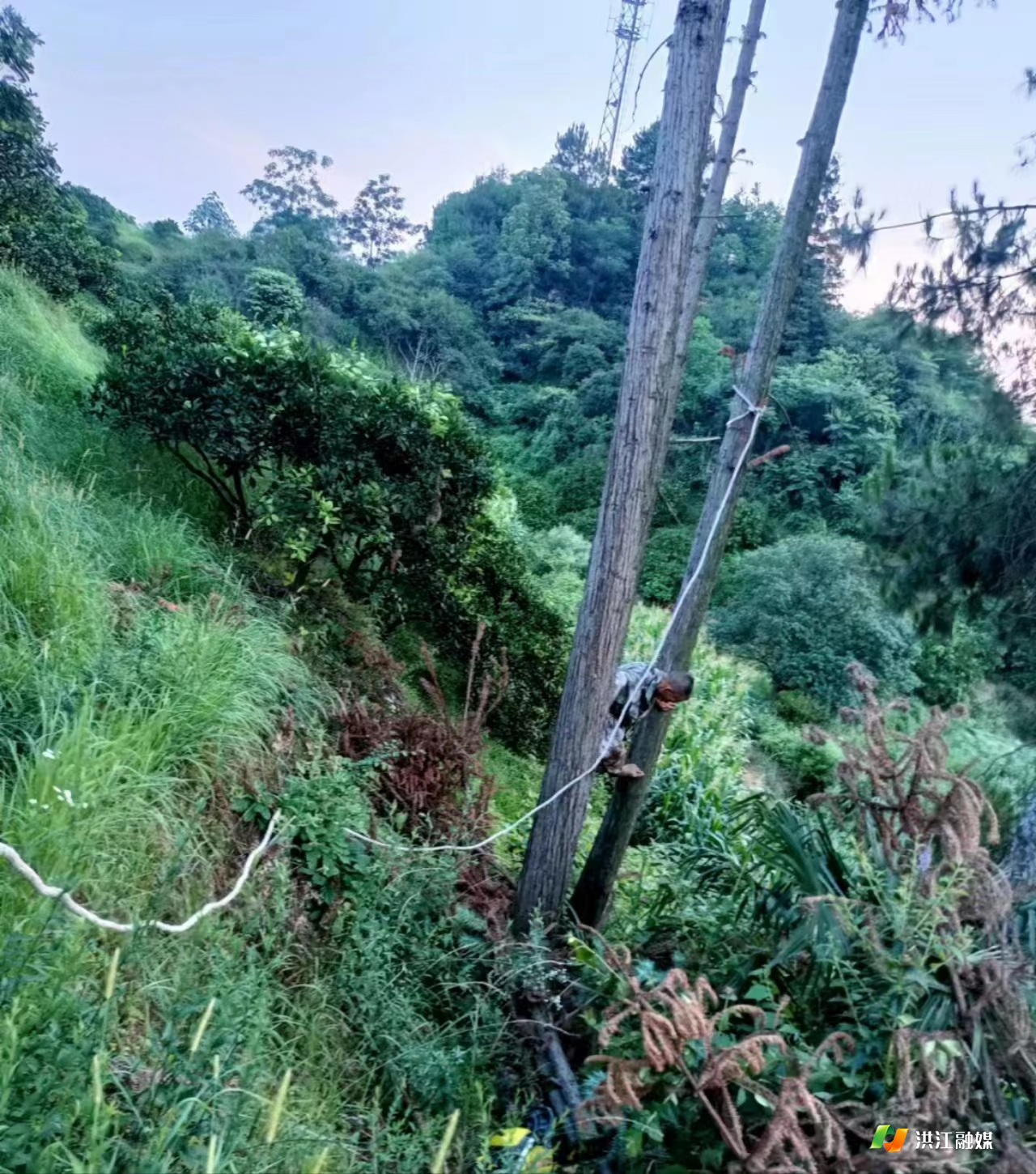 下载 (2).jpg