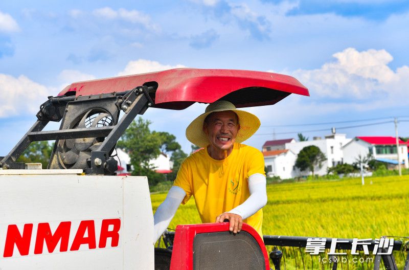 浏阳沙市镇河背村村民罗师傅正在高温下收割早稻，虽然天热，但看着金灿灿的稻田脸上还是露出了丰收的喜悦。均为长沙晚报全媒体记者 邹麟 摄