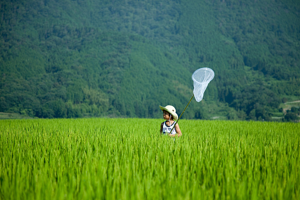 VCG21gic9795529.jpg