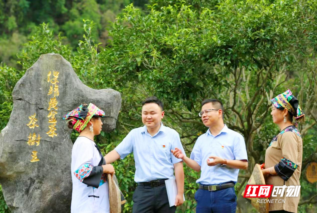 图片2.jpg 图片2.jpg