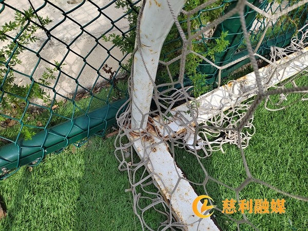 521199008991530cd3d5d1c0623d4b6_副本.jpg