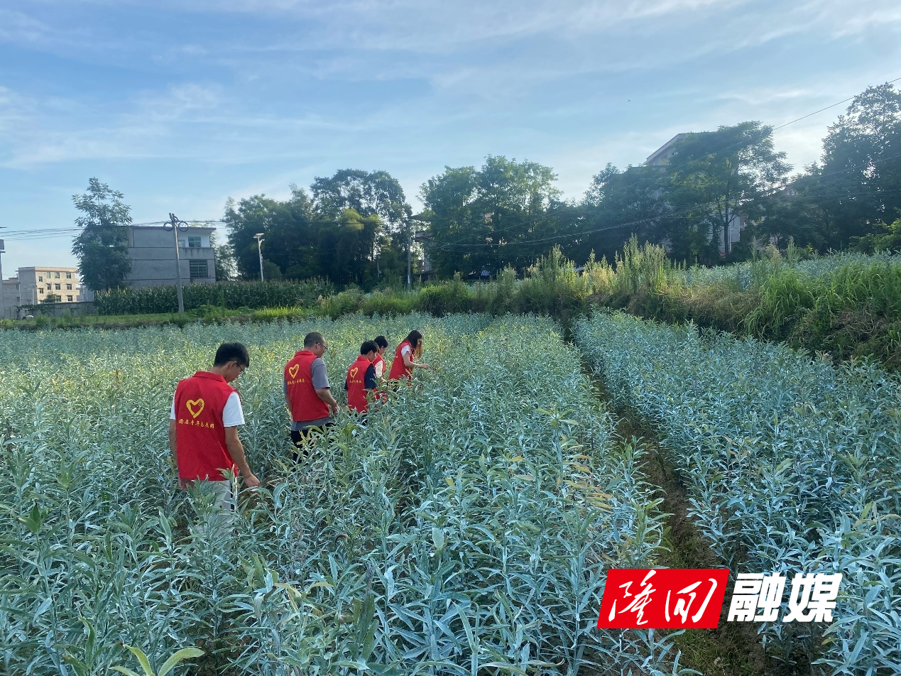 WPS图片(10).jpeg