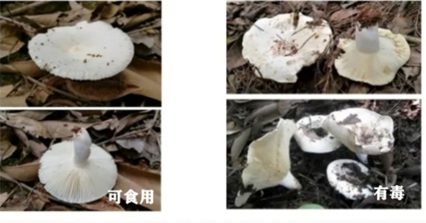 图片5.jpg