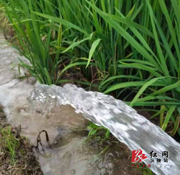 1689559208018.jpg 1689559208018.jpg