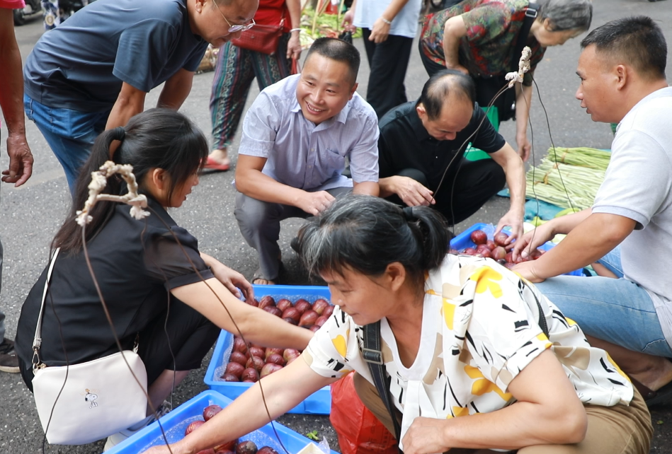 微信截图_20230718152903.png