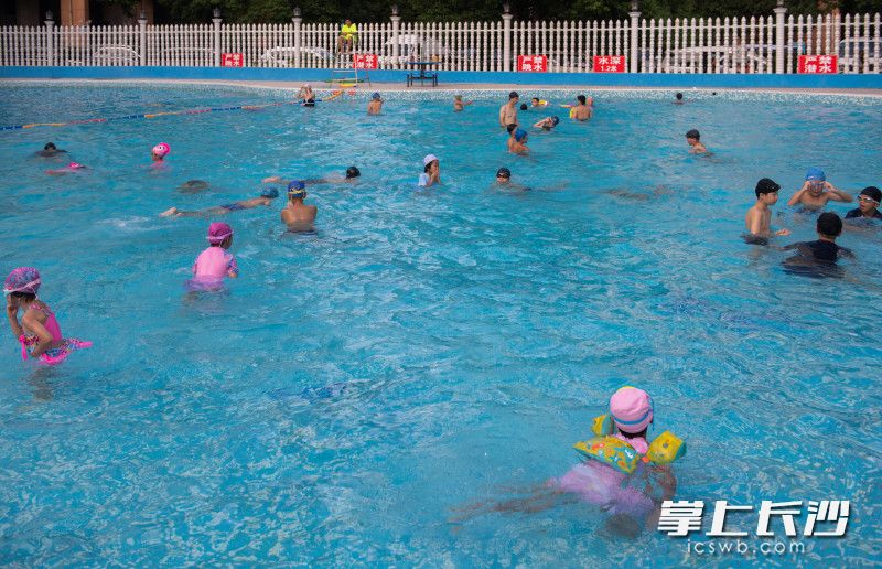 芙蓉苑游泳馆里，学生们正在游泳。
