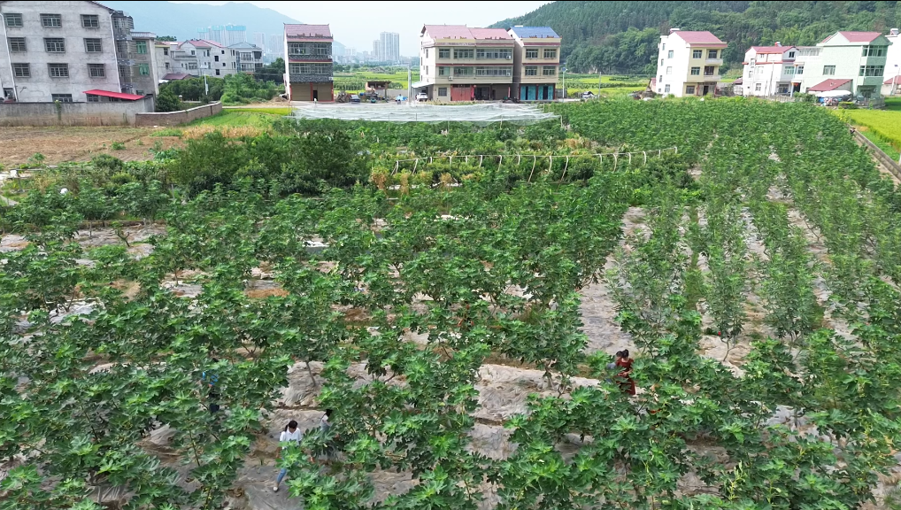 微信截图_20230718160344.png