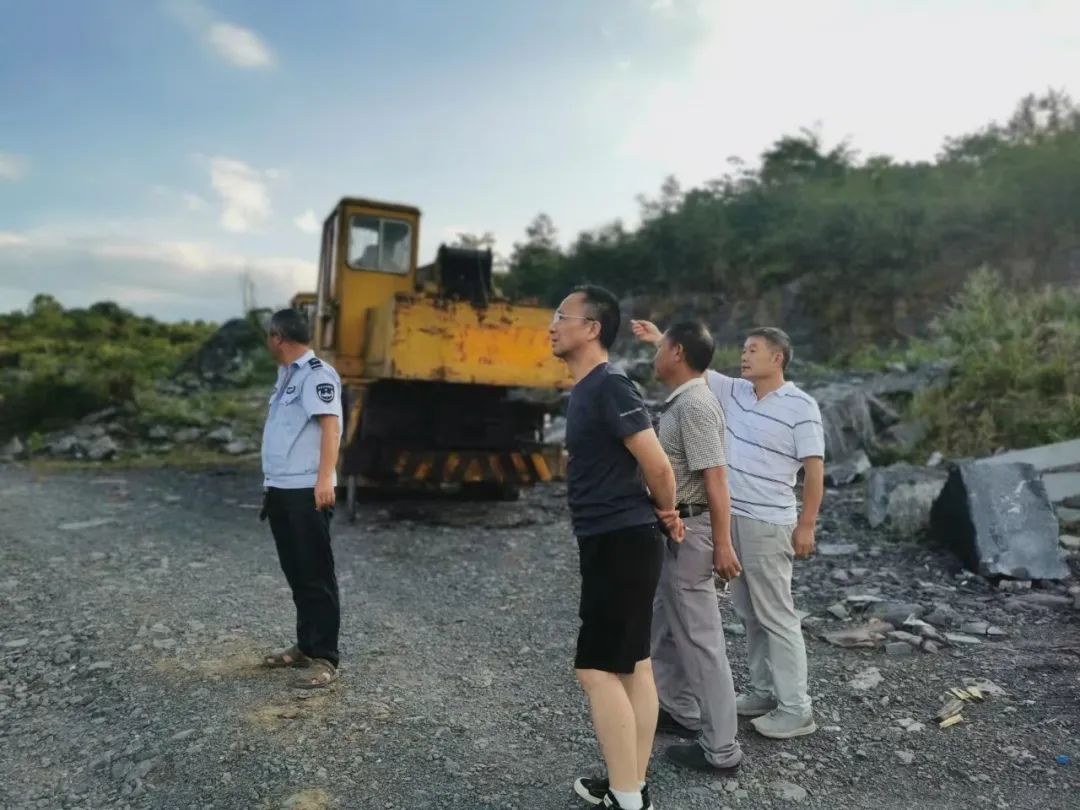 武冈市林业局：多措并举构建行刑衔接机制 为林业发展保驾护航(图1)