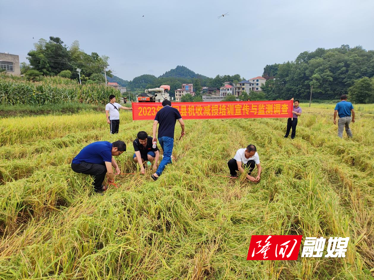 隆回县机收减损宣传培训助力早稻颗粒归仓(图1)