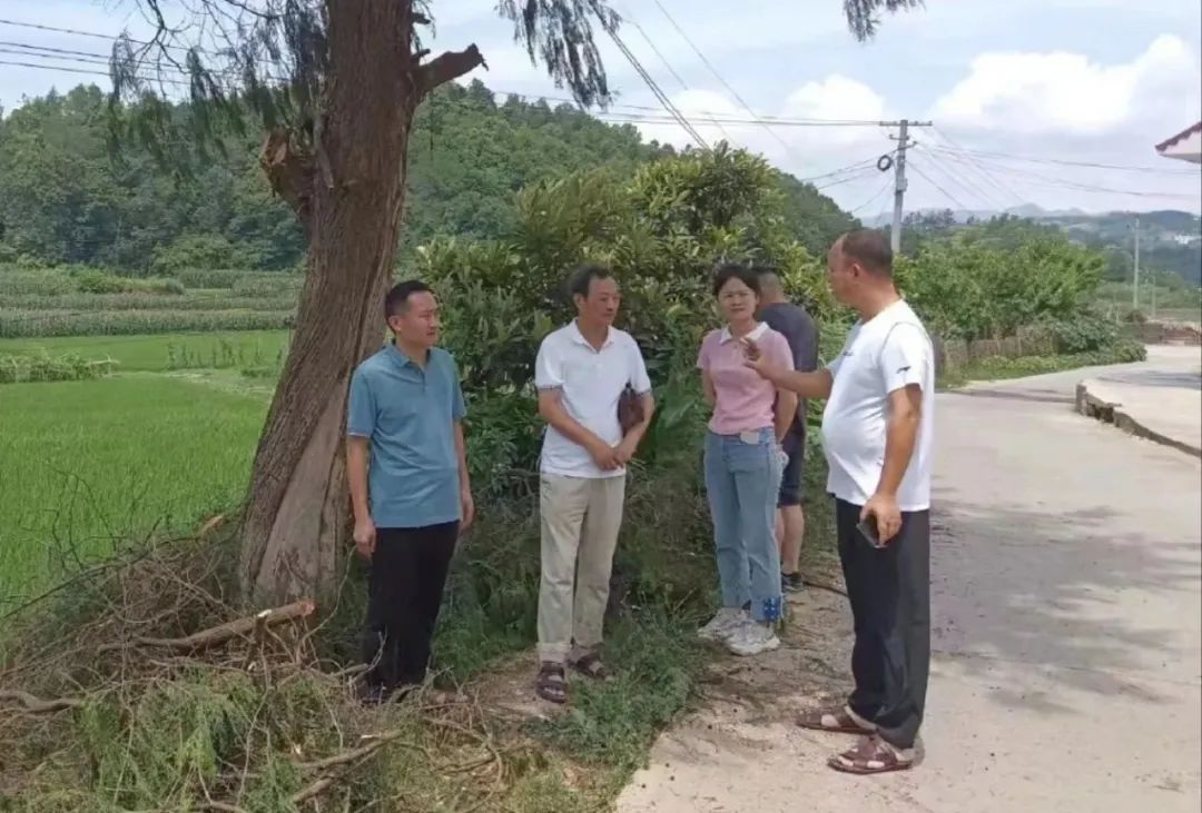 迎春亭街道办：强化督导检查 推动“三湘护农”走深走实(图2)