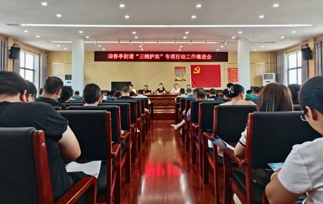 迎春亭街道办：强化督导检查 推动“三湘护农”走深走实(图1)