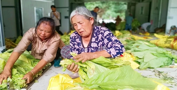 图片14.jpg