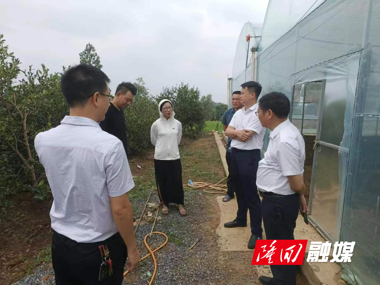 湖南宇昂农业开发有限公司到周旺镇调研黑木耳项目 汪启明参加(图1)