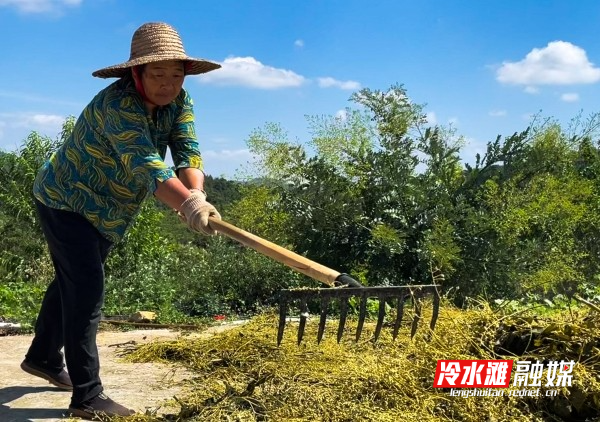 微信图片_20230724090754_副本.jpg