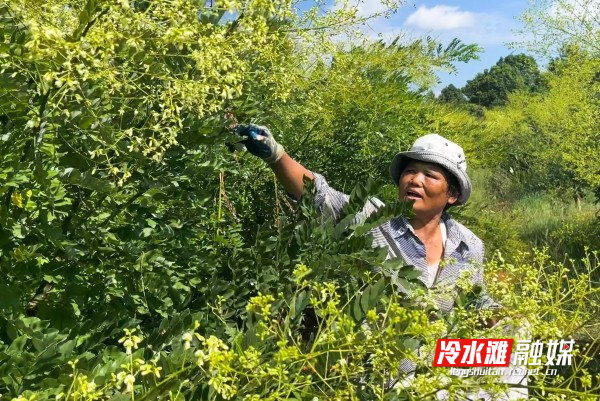 微信图片_20230724090736_副本.jpg