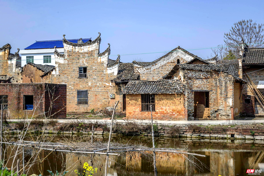 花滩河边，龙田.jpg